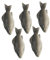 TOYANDONA Pädagogisches Gefälschte Fisch Modell 5 Stücke Künstliche Aquarium Decor Fisch Anerkennung