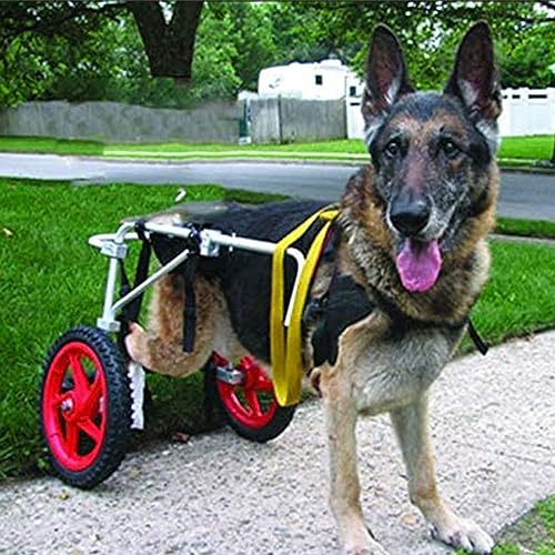 Verstellbarer Hunderollstuhl für Hinterbeine, Hundespaziergänge, Rollstühle für kleine, mittelgroße und große Hunde, Rehabilitations-Haustier-Kinderwagen