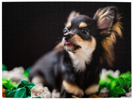 Niedliches Chihuahua-Hunde-Puzzle für Erwachsene, 500 Teile – Holzpuzzle für Erwachsene und Senioren