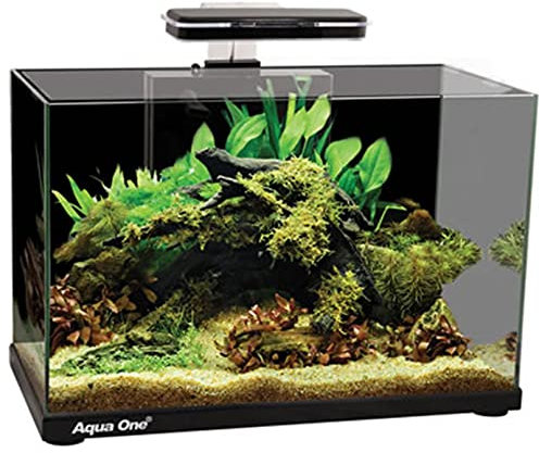 Aqua One Focus 36 Glass Aquarium 36L 50x25x36cm Black