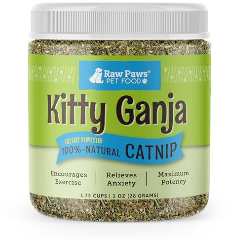 MegiaExist Paws Natürliche Katzenminze für Katzen, 28,3 g – Verwendung für nachfüllbares Katzenminze-Spielzeug für Katzen – Katzenminze für Hunde – Katzenminze Katzengras – Hund Katzenminze – getrock
