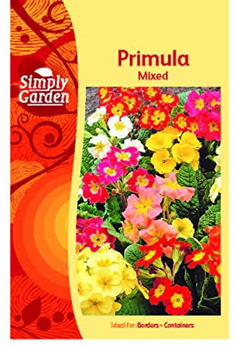 Simply Garden Primula Primrose Mixed Seeds Grow Your Own Flowers