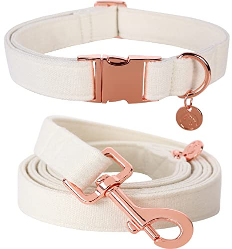 DOGWONG White Dog Collar and Leash Set - Grey, Durable, Adjustable for Small Medium Large Dogs - L Size