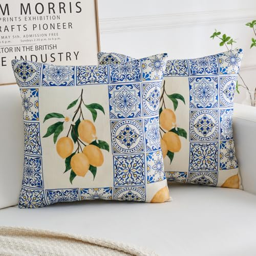 Kissenbezug 45x45cm Boho Blau Gelb Zitrone Obst mit Grüne Blätter Kissenbezüge Polyester Kissenhülle Dekokissen für Wohnzimmer Sofa Garten Terrasse Patio 2er Set