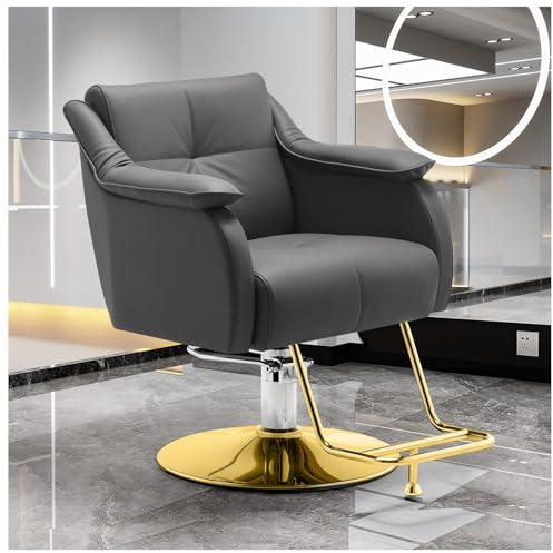 WKXTECZT Professioneller Friseurstuhl Mit 360 ° Drehung Und Hydraulischer Pumpe, Höhenverstellbar, Friseursessel Salonstuhl Aus Kunstleder,Grau,B