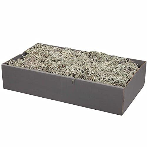 Annastore Finnland-Moos Matten zum Basteln - mit Kunstschnee - vorgereinigt und präpariert - Luftgetrocknet - Bastelmoos - Finnlandmoos - Dekomoos Farbe Natur-Grau, Größe 500g