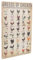 Healvian Vintage Metall Schild Huhn Wissen Poster Retro Craft Knowledge Decor Für Wand Shop Lustiges Hühner Deko Schild Aus Metall Für Bauernhaus Und Garten