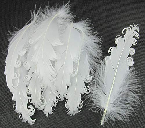 PANAX Natur Dekoration Gänsefedern lockig Federn ca. 12-18cm Federnlänge Weiß