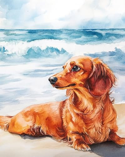 WANMIU Pintar por Numeros Adultos Perro salchicha de playa-2 Cuadros para Pintar por Numeros Paint by Numbers Adult Paisajes con Pinceles y Pinturas 40 * 50 cm (Sin Marco)