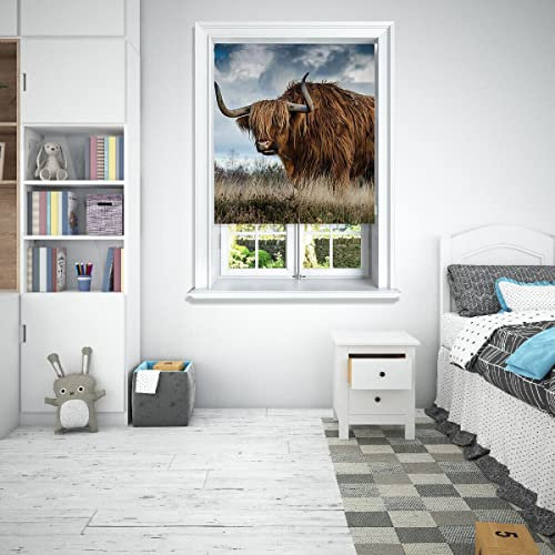 Lister Cartwright Photographic Blackout Roller Blinds For Bedroom Windows - (90 x 140 cm) Easy to Fit Roller Blinds For Windows With Child Safety Included - Highland Cow