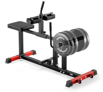 VEVOR Banc à Mollets Assis, Appareil de Musculation de Jambes avec Capacité de 200 kg, Presse à Mollet Compatible avec les Disques de Poids de 12,7 mm, Équipement d'Entraînement pour Gym Domicile