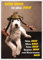 Gutsch Verlag Lustige Postkarte mit Hundemotiv und Spruch 'Ohne Hund ist alles doof' – Ideal für Tierliebhaber, Humorvolle Postkarte, Witzige Geschenkidee.