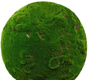 ARCEFT Simulierter Moosball Fensterboden Einrichtungsgegenstände Innendekoration, Moosball, Simulation Einer Pflanze Globus Weltraum Grün Dekorative Landschaft Moos, Kugelförmige Innen (Size : 25cm)
