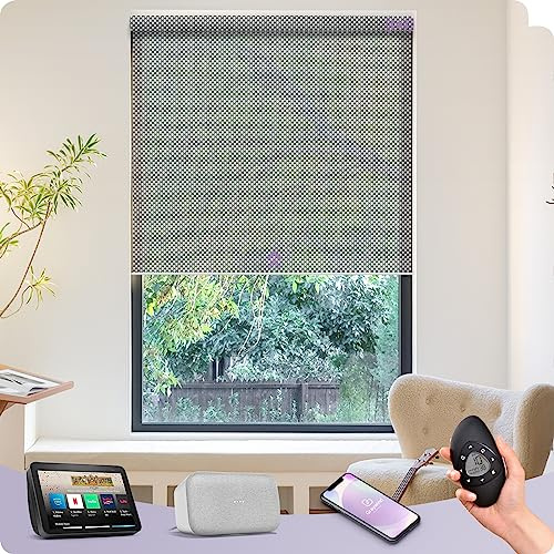 Graywind Elektrische Rollo Innen Lichtfilterung, nach Maß Wiederaufladbar Smart Fensterrollo, UV-Schutz Jalousien mit Fernbedienung, Motorisiert Rollo Kompatibel mit Alexa Google, 3% Offenheit Silber