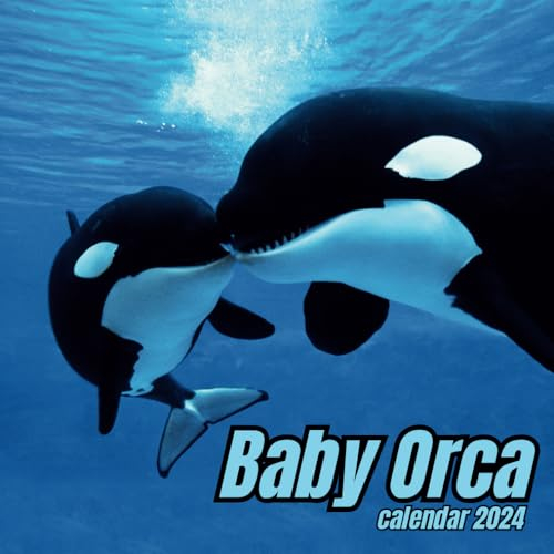 Orca Calendar 2024: November 2023 to December 2024 Monthly Organizer To Keep Track Of Dates , Ideal for Home, Office