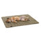 Pointer | Hundedecke 130 x 110 cm, Gepolstert & Strapazierfähig - Hundematte Waschbar bis 95°C, Liegedecke für Boden oder Sofaschutz - Outdoor geeignet (XL - 130x110 cm, Goldbraun)