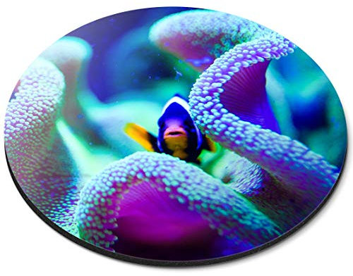 Destination Vinyl ltd Coral Reef Tropical Fish - Flexible Round 5mm Rubber Mouse Mat Pad Office Home Novelty Printed Desk Accessory - 44721