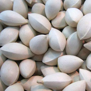 Bshopy 5 stücke ginkgo biloba samen selten maidenhair baum samen starke anpassungsfähigkeit garten obstbaum