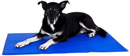 lionto Kühlmatte für Hunde & Katzen, selbstkühlende Haustiermatte sorgt für Erfrischung an warmen Tagen, 100x60 cm, Faltbare Kühldecke ohne Strom, Kühlung durch Körperkontakt, leichte Reinigung, blau