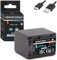 PATONA Platinum NP-FV70A NP-FV70 Batterie USB-C 2060 mAh avec entrée USB directe, sans Restriction d'utilisation (1394)
