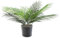 Giftale Künstliche Areca-Palme, künstliche Dypsis Lutescens, Pflanze, kleine tropische Kunstpalme, Seide, im gewebten Rattan-Topf, für Zuhause, Büro, Terrasse, Garten, moderne Dekoration, Innen- und