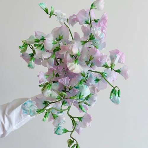 duftwicke samen rankend - exotische pflanzen, schnellwachsende kletterpflanzen edelwicke wicken samen exotische pflanzen samen, garten pflanzen winterharte kletterpflanzen winterhart 350pcs