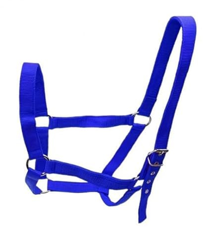 Horse Halter, Halter with Snap Hook And Throat, Polypropylene Strap, Wear-Resistant Rope for Pasture, Racecourse And Farm, blue