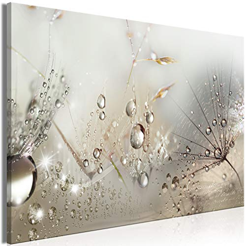 murando - Wandbilder XXL Pusteblume 90x60cm Leinwandbild 1 tlg Kunstdruck moderne Wandbilder Leinwand Wandbild Wohnzimmer Schlafzimmer Wanddekoration Wand Deko Bild Tau Tropfen Natur Wasser grau Bokeh