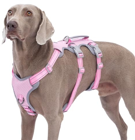 Huntboo Ausbruchsichere Geschirre für Hunde, No Escape Hundegeschirr, No Pull Hundegeschirr für Große Hunde mit Griff, Verstellbare Weste für Spaziergänge, Training und Laufsport (Rosa, XL)
