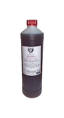 RAPTUS RICARICA PROFUMATORE AMBIENTE DOMVS MINERVA 1 LITRO