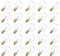 Tomshine G40 Globe Tungsten Incandescent Bulb Lamp 25 Pack E12 Base Socket Holder IP44 Water Resistance Warm White for String Light Home Party Decoration Wedding Function Portable