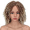 Style Icon 6 Short Dreadlock Wig Twist Wigs for Black Women Ombre Ash Blonde Short Curly Synthetic Wigs
