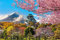 Muralo Selbstklebende Fototapete 368 x 254 Schloss Osaka Japan Tapete Architektur Sehenswürdigkeit Natur Frühling Wohnzimmer Schlafzimmer Wandbilder XXL Wand Br. 368 cm x Hö. 254 cm