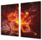 Asse da cucina in VETRO temperato – Tagliere in vetro – pezzo UNICO (60x52 cm) o DUE pezzi (30x52 cm ognuno); D06 Serie Fiori: Fiore 9