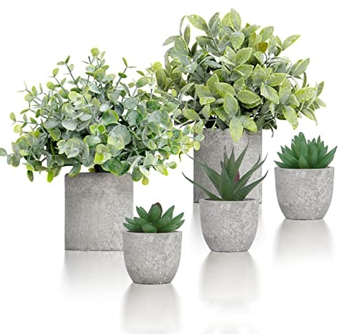 Betylifoy Kunstpflanze im Topf 5 Stück Kunstpflanze Klein Topfpflanze Künstlich Eucalyptus Künstlich Sukkulenten Topfpflanze Künstliche Pflanzen Plastik für Balkon Badezimmer Büro Outdoor