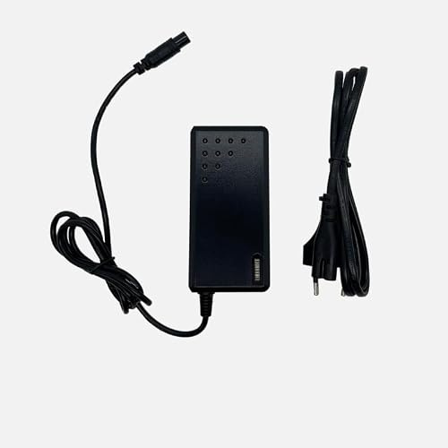 Ladegerät 29,4 V (2 Pins) / Ladegerät 29,4 V (2 Pins) Hoverboard - Stück Elektroroller