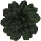 Flower Hair Clips Fascinator Ideal for Weddings Chrysanthemum Bottle Green Flower Hair Clips