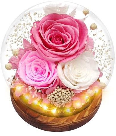 Ewige Rose im Glas mit Licht, Infinity Rose für Frauen, Rosen Konservierte Blumen Deko für Mama Frauen Freundin Mädchen, Rosa Eternal Rosen Geschenke für Weihnachten Valentinstag Geburtstag Jahrestag