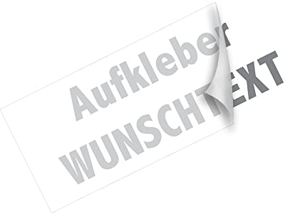 Aufkleber Autoaufkleber Name Wunschname Sticker Wunschtext - individuell (090 silbergrau metallic)
