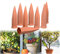 8 Stücke Automatisch Keramische Bewässerung Set,RoseFlower Tonkegel Selbstbewässernde Spike Wasserspender mit Free Gartenwerkzeuge für Indoor & Outdoor Home Office Garten Pflanzen -Streifenförmig