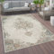 Paco Home Outdoor Teppich Wetterfest Wohnzimmer Balkon Küchenteppich Vintage Orientalischer Style Modern Creme Beige, Grösse:240x330 cm