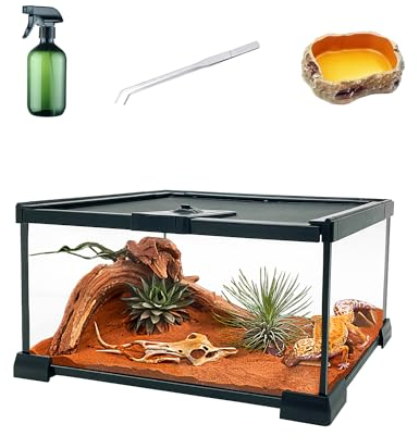 Terrarium en Verre de Reptile, 12‘x8''x6'' Cage de réservoir d’Amphibiens d’enclos de Terrarium avec Porte coulissante magnétique pour Petits Reptiles, Amphibiens et invertébrés.