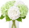 JUSTOYOU Fiori di ortensia artificiali, 4 pezzi, doppio colore, stelo lungo singolo, realistico, 40 cm, bouquet di ortensie finte al tatto, per matrimoni, casa, feste (bianco e verde chiaro)