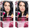 Garnier Color Sensation - Tinte Permanente Negro Azulado 2.10, disponible en más de 20 tonos (Paquete de 2)