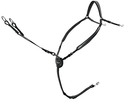 PASSIER Marcus Ehning Vorderzeug schwarz (Edelstahlbschläge) Gr. Pony