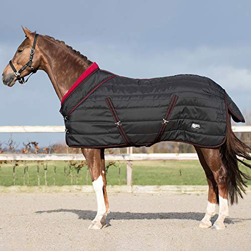 QHP Luxus Stalldecke Collection 200g Füllung Fleecekragen Kreuzgurte schwarz (155 cm)
