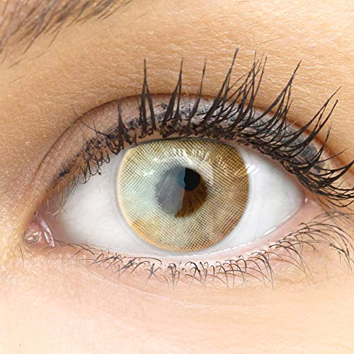 GLAMLENS Valencia Orange braun + Behälter | Sehr stark deckende natürliche braune Kontaktlinsen farbig | farbige Monatslinsen aus Silikon Hydrogel | 1 Paar (2 Stück) | DIA 14.20 | Ohne Stärke