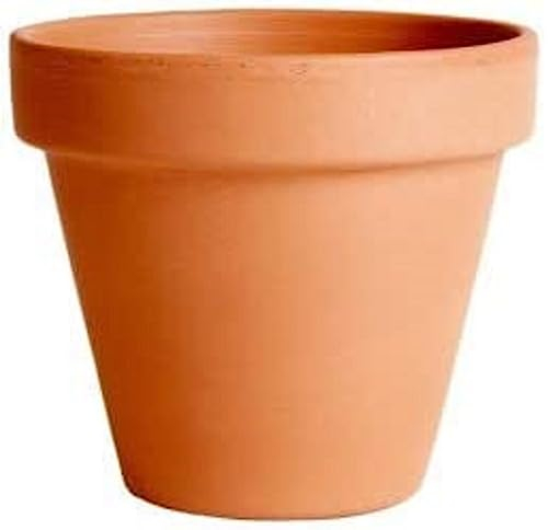 Vaso in terracotta artigianale di diametro 20 cm, con finitura liscia, design classico per decorazione di interni ed esterni. Ideale per piante di medie dimensioni.