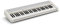 Casio, 61-Key Portable Keyboard (CT-S1WE)
