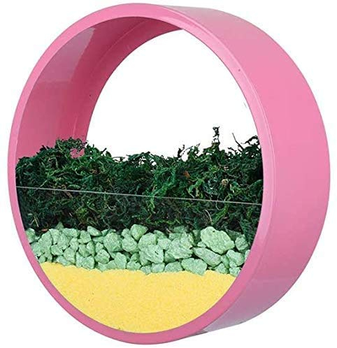 Wand-Pflanzgefäß, rund, Metall, Glas, Wandvase, Wand, Terrarium, Wand, Blumentopf, Luftpflanzenhalter, vertikaler Behälter für Sukkulenten, Innendekoration für Wohnzimmer, Küche, Balkon, Treppe (Rosa,